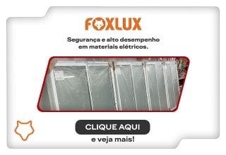 Tecnologia/Segurança